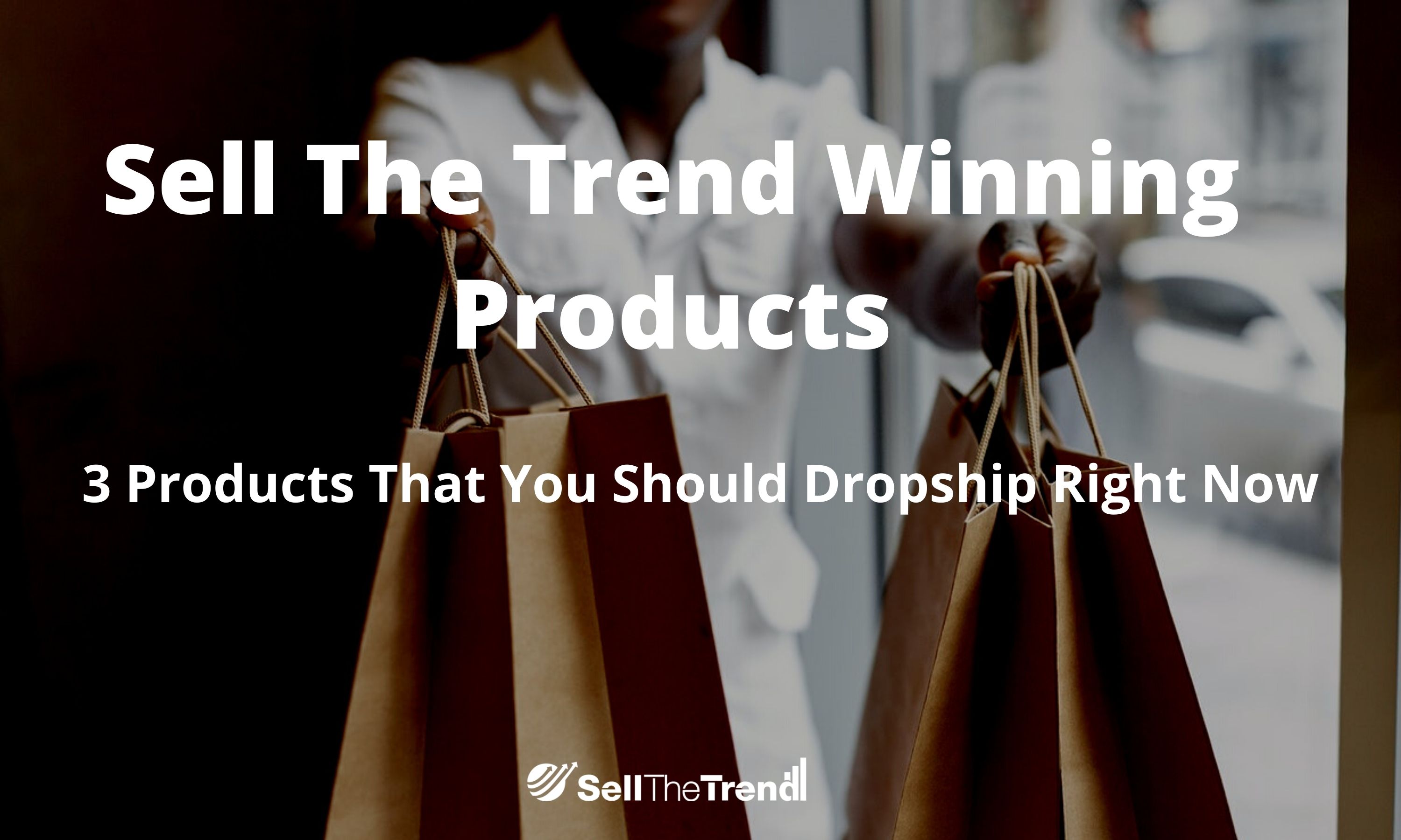 Sell The Trend Winning Products: 3 Products You Should Dropship Right Now